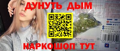 сатива Можга