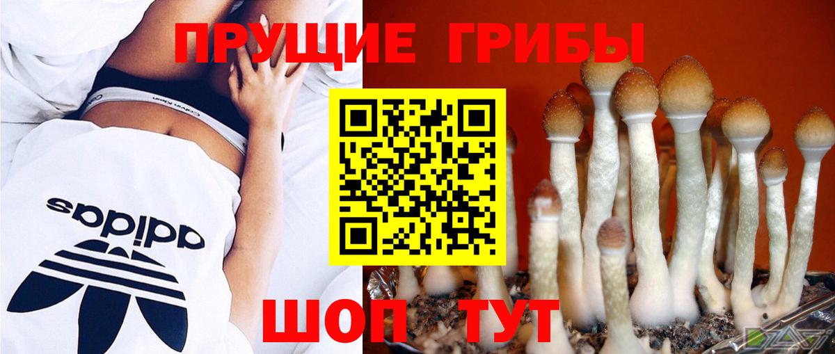 Ульяновск  Галлюциногенные грибы мицелий  где купить наркоту  Вход с VPN 